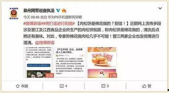 肉松饼爆料视频播放,揭秘网红美食背后的制作过程  第1张
